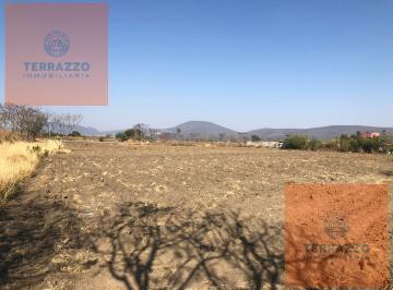 Terreno / Lote · 24000m² · Terreno - Pueblo Tenextepec