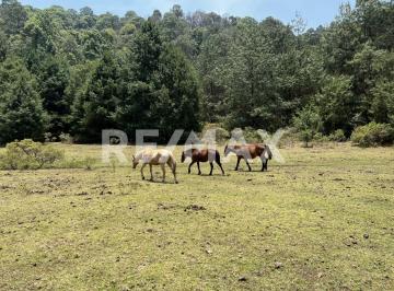 Terreno / Lote · 140000m² · Terreno en Venta - (4)