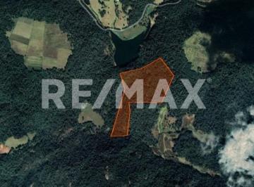Terreno / Lote · 260000m² · Terreno en Venta - (4)