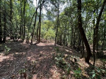Terreno / Lote · 800000m² · Terreno en Venta - (4)