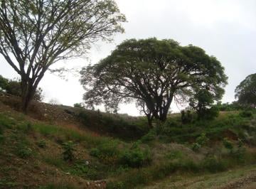 Terreno / Lote · 583m² · Fracc Gran Reserva, Realdel Sur, Ixtapan de La Sal - (4)
