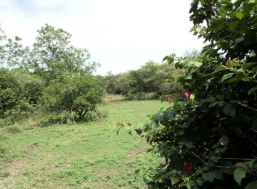 Terreno / Lote · 5000m² · Terreno - Pueblo Alpuyeca