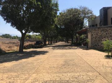 Terreno / Lote , Cuernavaca · Terreno Urbano en Lomas de Vista Hermosa Cuernavaca - Crb - 1000 - Tu