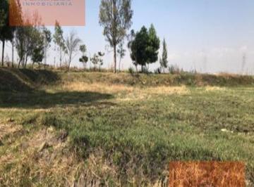 Terreno / Lote · 6420m² · Terreno - Pueblo Cacalotepec