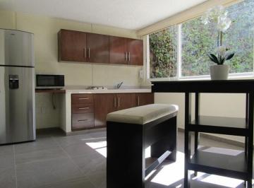 Departamento de 1 habitación, Alvaro Obregón · Renta Amueblado, Col. Alpes, Cerca Rómulo o'Farrill y Periférico