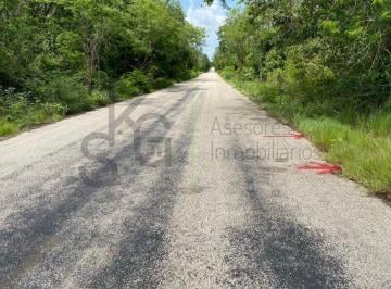 Terreno / Lote · 400000m² · Terreno - Yucatán