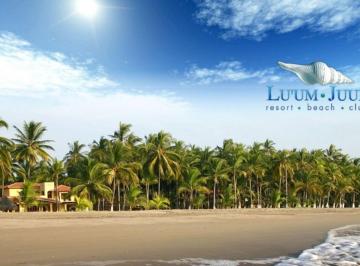 Terreno / Lote · 600m² · Terrenos en Fraccionamiento Luum Juub, Playa Las Tortugas