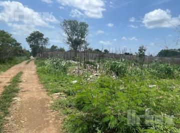 Terreno / Lote · 12000m² · Vendo Excelente Terreno en Imi II, Campeche