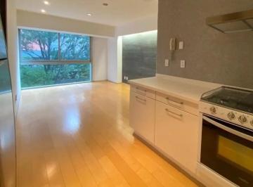 Departamento de 1 habitación, Miguel Hidalgo · Departamento en Renta Moliere