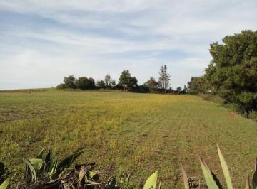 Terreno / Lote · 90247m² · Terreno en Venta, Ocuilan Chalma Estado de México - (4)