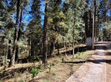 Terreno / Lote · 500m² · Se Vende Terreno Residencial en El Bosque en El Fracc. Las Flores, Mineral de Chico, Hidalgo