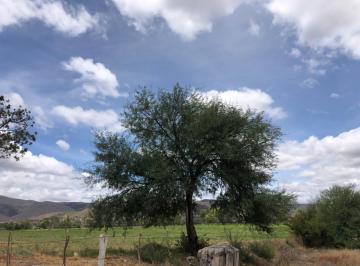 Terreno / Lote , San Juan del Río · Terreno Ideal Para Viñedos y Viviendas