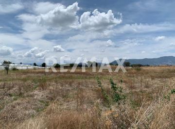 Terreno industrial · 60893m² · Venta de Terreno Para Siembra de Flor, Bodegas o Comercio en Villa Guerrero, Estado de México - (4)