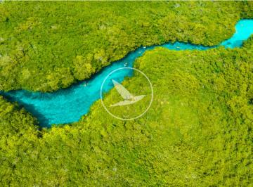 Terreno / Lote , Tulum · Terreno con 2 Cenotes Para Desarrollo Hotelero con Factibilidad de Suelo