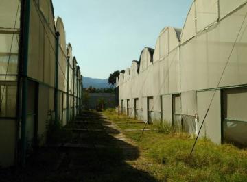 Huerta de 8 habitaciones, Yautepec · Yautepec. Invernadero. Estupenda Ubicación.