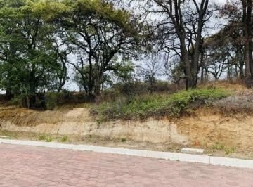 Terreno / Lote · 1045m² · Terreno en Venta en Rancho San Juan