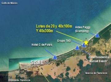 Terreno en venta con frente de playa, Sisal, Yucatán · Terreno en Venta con Frente de Playa, Sisal, Yucatán