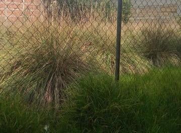 Terreno / Lote , Zinacantepec · Terreno en Venta Zinacantepec Hacienda San José Barbabosa