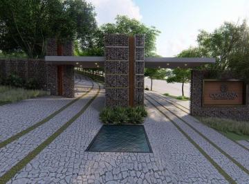 Terreno / Lote , Jocotepec · Terreno en Venta en Ajijic, Chapala, Jalisco