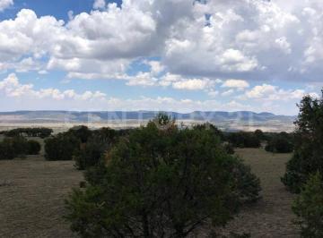 Terreno / Lote · 23882m² · Excelente Terreno en La Sierra Fria