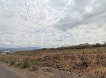 Terreno / Lote en Venta  El Muelle · Terreno en Venta en El Muey, El Salto.