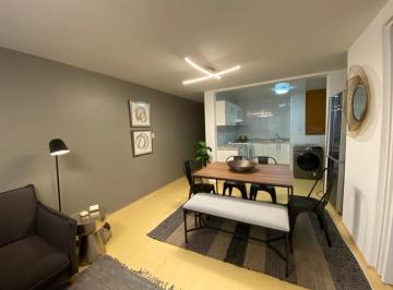 Departamento de 1 habitación, Miguel Hidalgo · Remodelado con Mucha Luz, Bonita Vista Verde. Ventanas Dobles