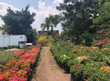 Terreno / Lote · 8000m² · Terreno - Tlahuapan