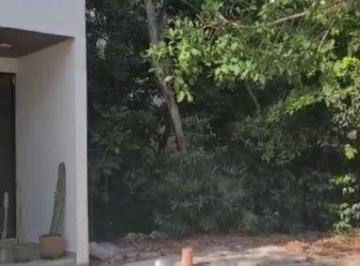 Terreno / Lote , Tulum · Terreno Comercial en Aldea Zama Tulum - Ham - 644 - Tco