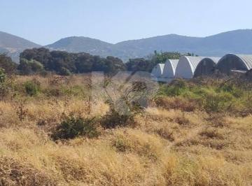 Terreno industrial , Jiutepec · Terreno de 39,638 m² con Suelo Mixto en San Gaspar Jiutepec, Morelos
