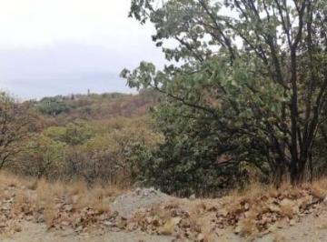 Terreno / Lote , Tlajomulco de Zúñiga · Terreno Único en El Palomar 1,819 m² Muy Arbolado $11,270,000