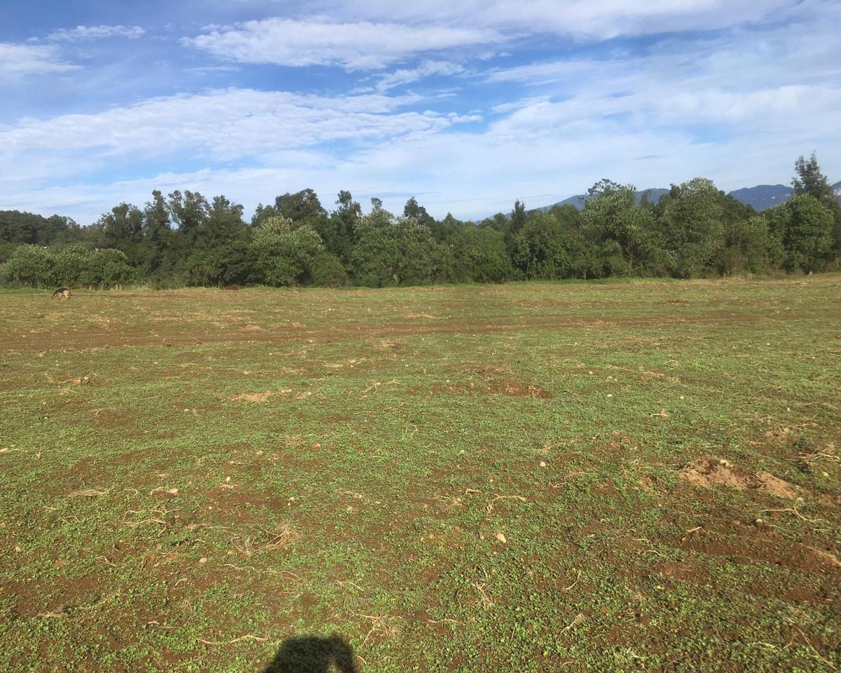 Land for Sale in Atempan, Puebla - (4)