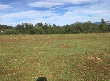 Terreno comercial · 169038m² · Venta de Terreno en Atempan Puebla - (4)