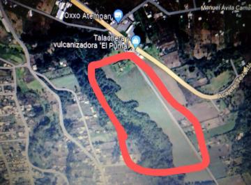 Terreno comercial · 169038m² · Venta de Terreno en Atempan Puebla - (4)