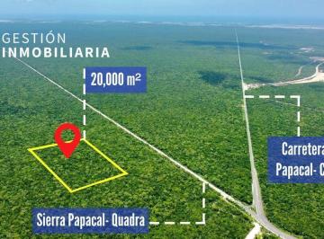 Terreno / Lote · 20000m² · Terreno de 2 Ha en Venta Ucu - Carretera a Chuburna Pue