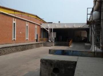 Bodega comercial , Jiutepec · Bodega de 300 m² de Construcción Dentro de un Parque Industrial, Jiutepec Morelos