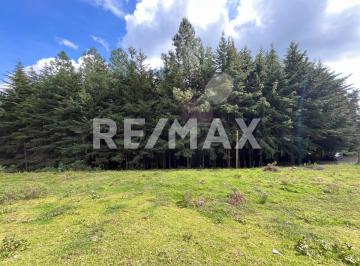 Terreno / Lote · 1300m² · Terreno en Venta - (4)