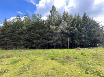 Terreno / Lote · 1300m² · Terreno en Venta - (4)