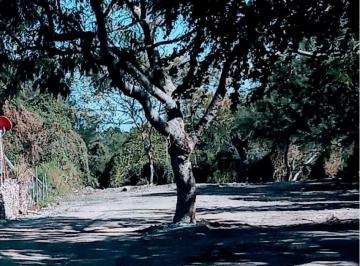 Terreno / Lote , Chapala · Excelente Terreno en Venta en Santa Cruz de La Soledad