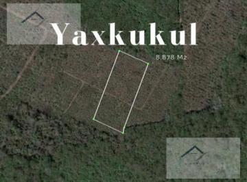 Terreno / Lote · 8878m² · Terreno - Yaxkukul