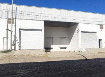 Bodega comercial , Tlajomulco de Zúñiga · Bodega Renta 1,200 m² El Zapote del Valle, Atrás del Aeropuerto