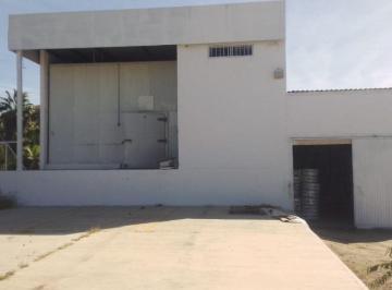 Bodega comercial , La Paz · Bodega en Renta en Todos Santos