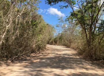 Terreno / Lote · 528475m² · Terreno de Ubicado a 1.8 Kilom del Tren Maya
