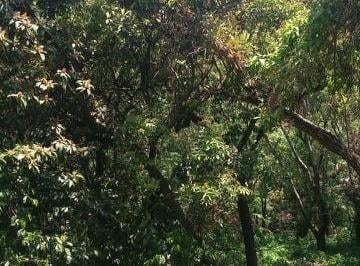 Terreno / Lote , Malinalco · Terreno en Venta Malinalco San Andrés Nicolás Bravo