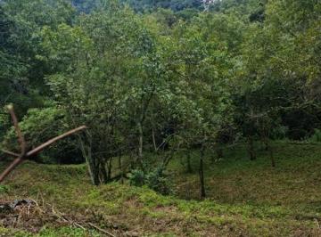 Terreno / Lote · 2800m² · Terreno en Venta - (4)