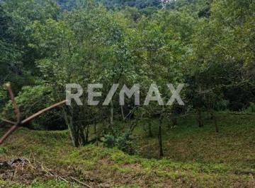 Terreno / Lote · 2800m² · Terreno en Venta - (4)