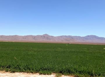 Rancho , Juárez · Se Vende Hermoso Rancho Ganadero y Agricola