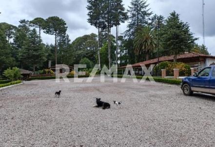 Ranch for Sale - (4)