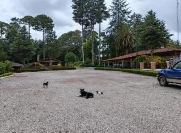 Rancho · 269375m² · 1 Recámara · Rancho en Venta - (4)