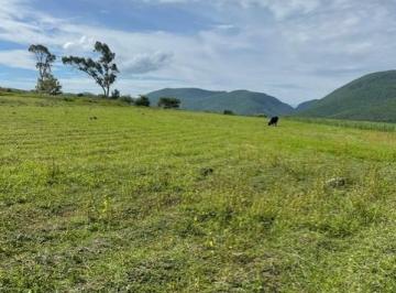 Terreno / Lote , Malinalco · Terreno en Venta Malinalco San Andrés Nicolás Bravo