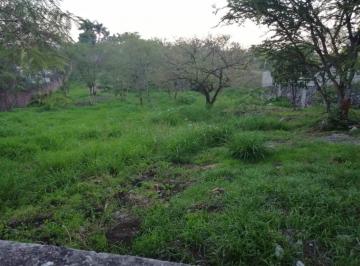 Terreno / Lote · 3000m² · Terreno - Ampliación 3 de Mayo